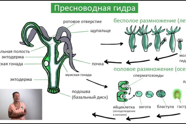 Купить наркотики через кракен