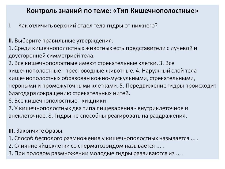 Kraken россия